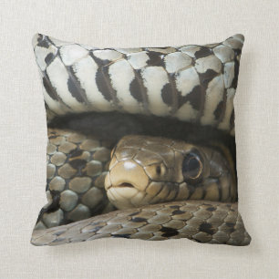 Coussin Serpent