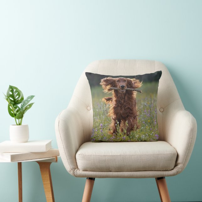 Coussin Setter Irlandais courant avec un bâton (Chaise)