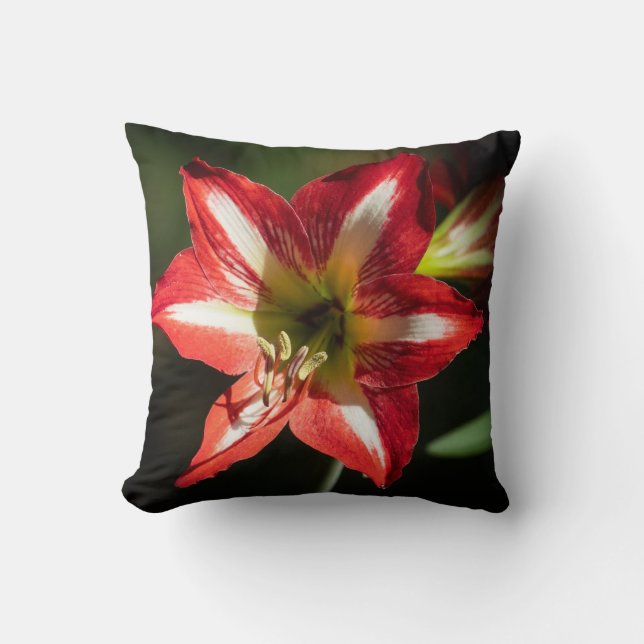 Coussin Shards of Red: Hibiscus at the Summit of Phongsaly (Recto)