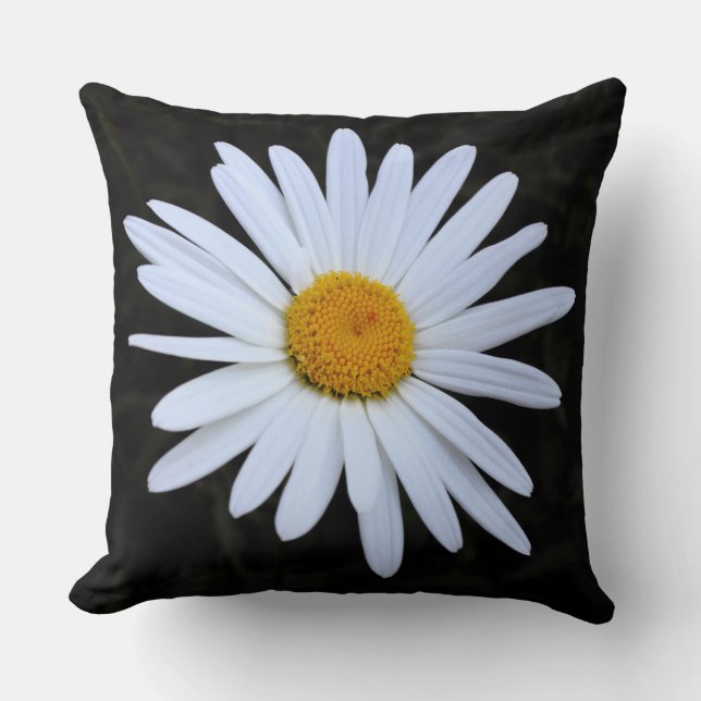 Coussin Shasta Daisy 02 (Recto)