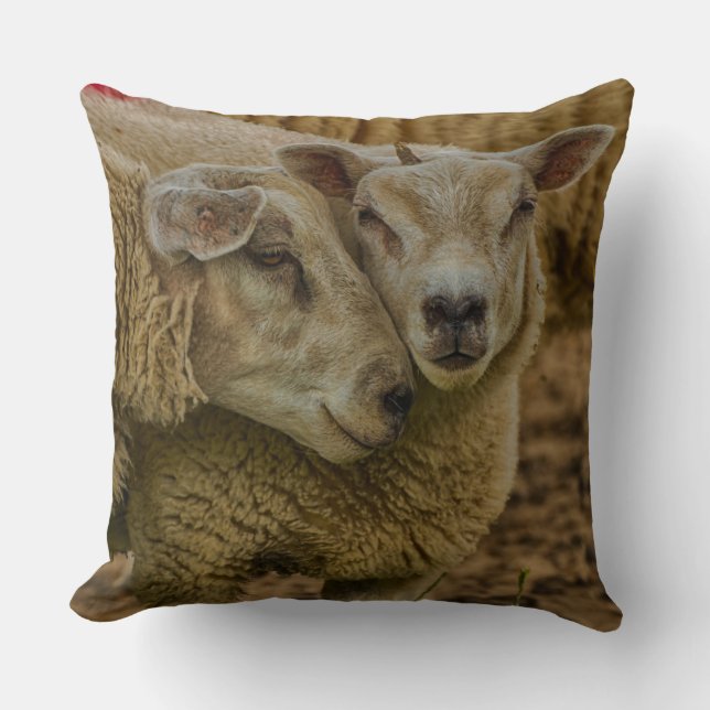 Coussin sheep (Recto)