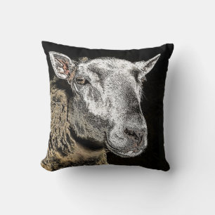 COUSSIN SHEEP