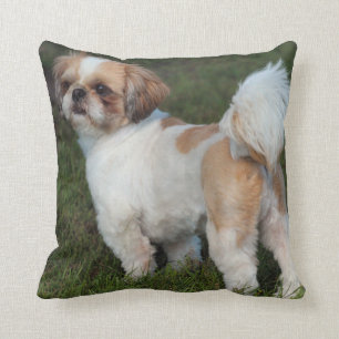 Coussin Shih le plus mignon Tzu