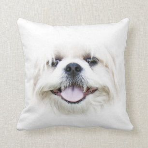 Coussin Shih Tzu font face