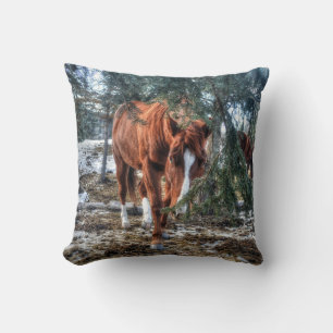 Coussin Shy Sorrel Mare et Branches Cadeau amateur de chev