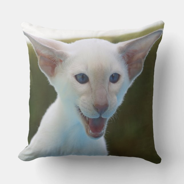 Coussin Siamese idiot (Recto)