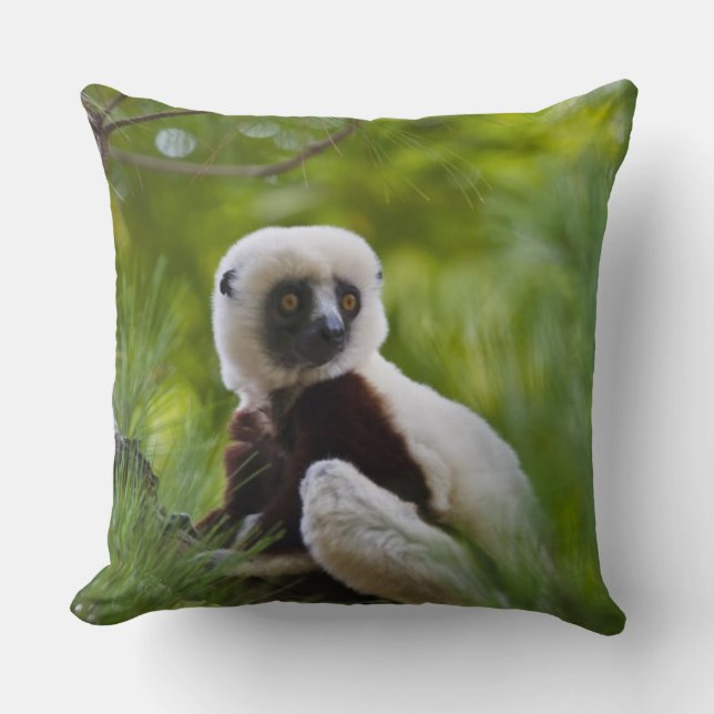 Coussin Sifaka de Coquerel dans la forêt 2 (Recto)