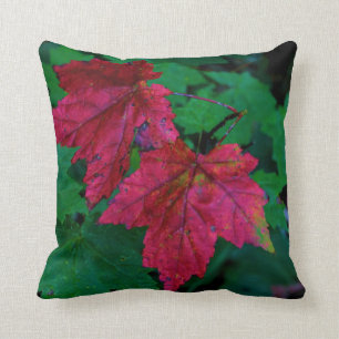 Coussin Signe d'automne
