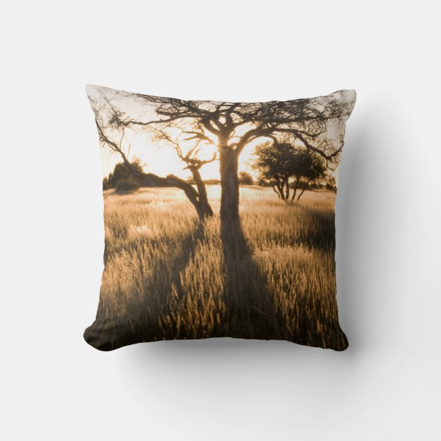 Coussin Silhouette d'arbres d'acacia dans l'herbe. Marient (Recto)