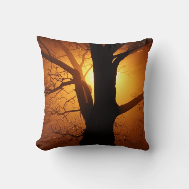 Coussin Silhouette de l'arbre à l'oreiller à lancer à l'as (Recto)