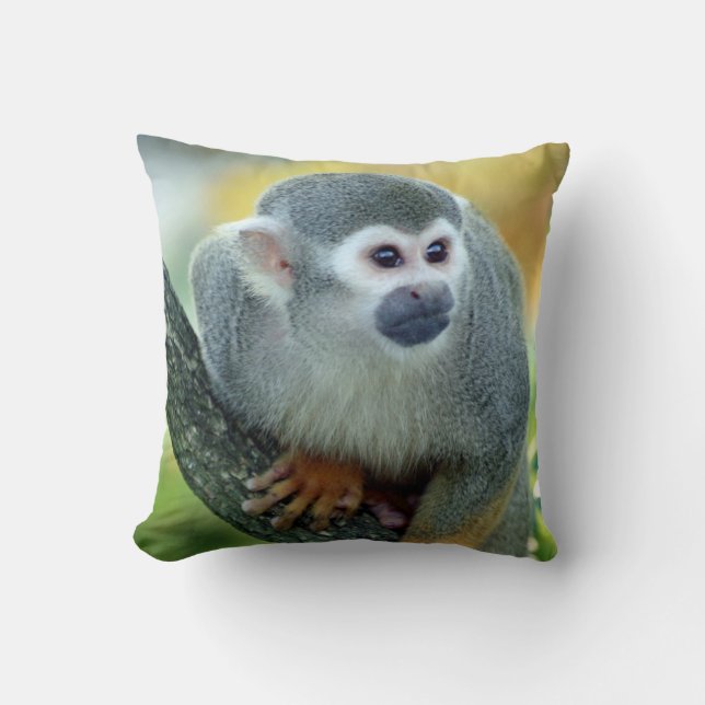 Coussin Singe 004 (Recto)