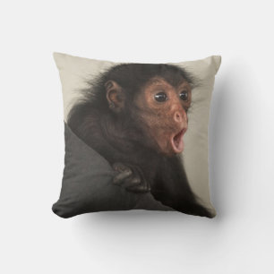Coussin Singe araignée à face rouge Ateles paniscus)
