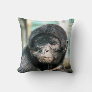 COUSSIN SINGES