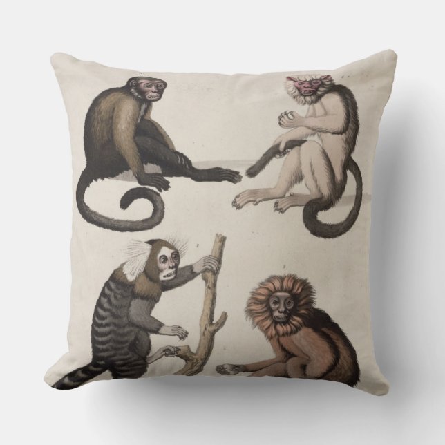 Coussin Singes (litho de couleur) (Recto)