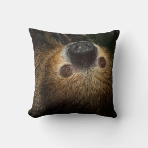 Coussin Sloth à deux doigts du Sud