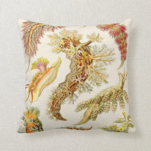Coussin Slug de mer - Ernst Haeckel