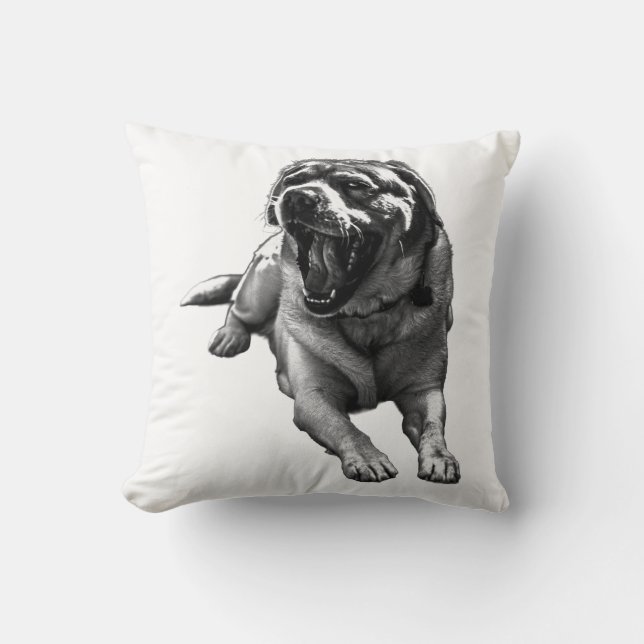 Coussin Snooze Cider-Saison (Recto)