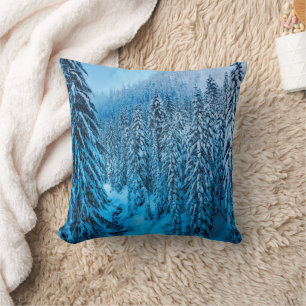 Coussin Snoqualmie Pass, État de Washington.