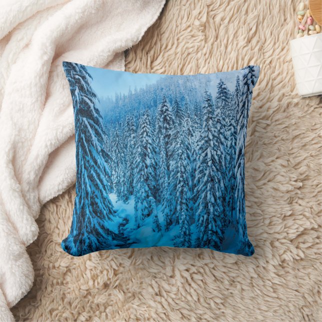 Coussin Snoqualmie Pass, État de Washington. (Couverture)