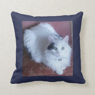 Coussin Sofa mignon aux cheveux longs câlin de chat