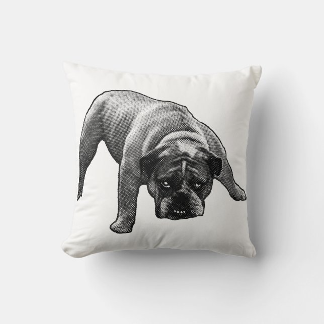 Coussin Soirée Nook Sentinel (Recto)