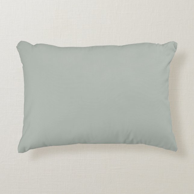 Coussin solide d'accent de gris argenté (Devant)