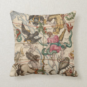 Coussin Solstice d'hiver