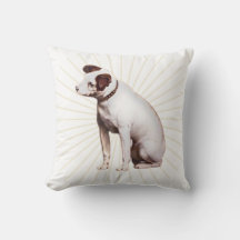 Son Maître Sunshine de la voix