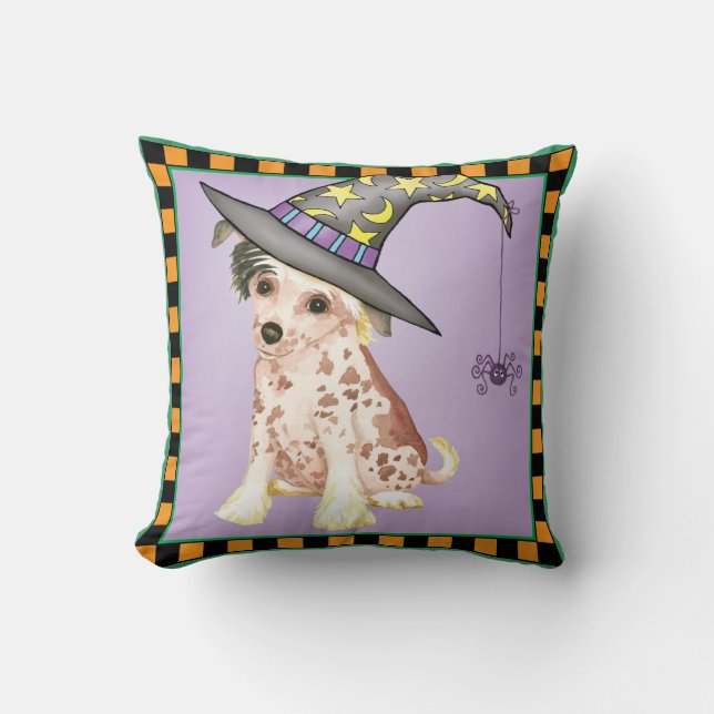Coussin Sorcière à cris chinois (Recto)