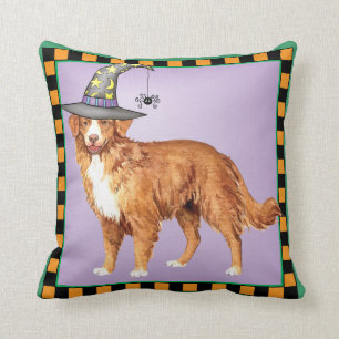 Coussin Sorcière de Toller
