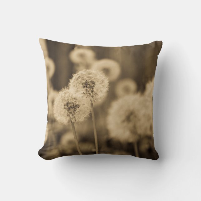 Coussin Souhaits (Recto)