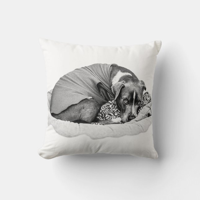 Coussin Soul reposante dans la chasse de la saison (Recto)