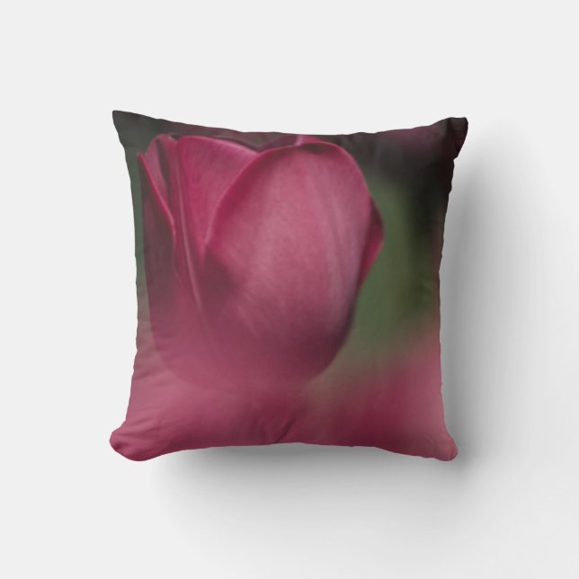 Coussin Soutien au cancer, Ce que le cancer ne peut pas fa (Recto)