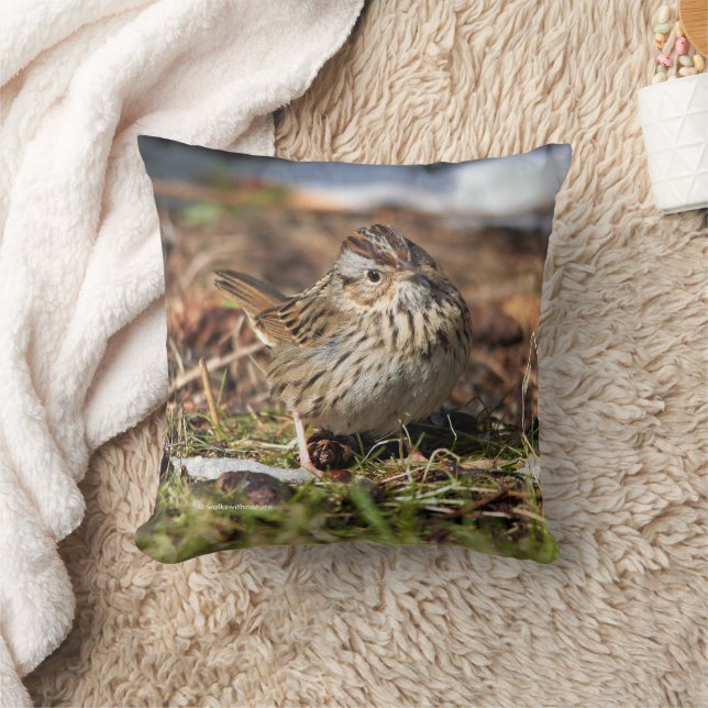 Coussin Sparrow Songbird in Grass de Cute Spunky Lincoln (Couverture)