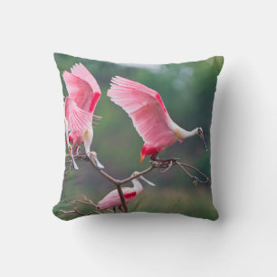 Coussin Spatules rosées (Ajaia Ajaja) à l'atterrissage