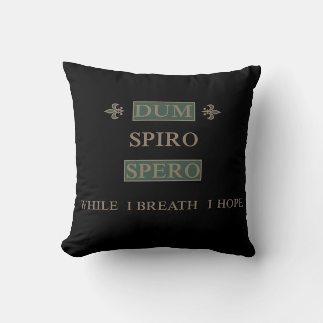 Coussin sperme spiro (Recto)