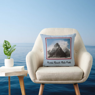 Coussin Spray sur mer au Harris Beach State Park