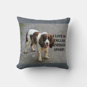 Coussin springer anglais spaniel lw love w picc
