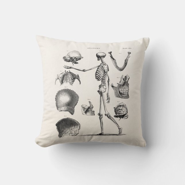 Coussin Squelettes antiques squelettiques d'anatomie de (Recto)