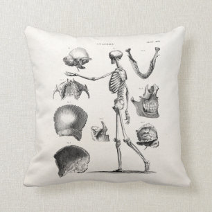 Coussin Squelettes antiques squelettiques d'anatomie de