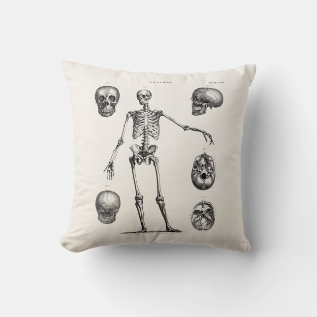 Coussin Squelettes antiques squelettiques d'anatomie de (Recto)