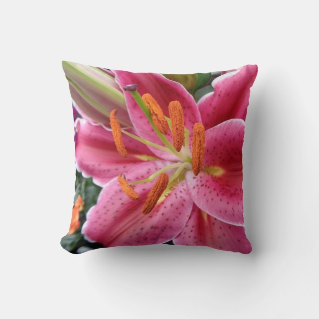 Coussin Stargazer (Recto)
