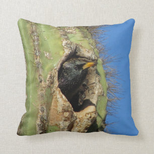 Coussin Starling dans Saguaro Cactus Photo Southwest Bird