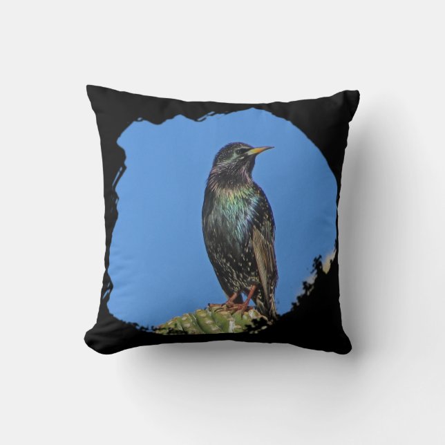 Coussin Starling Saguaro Cactus Beau Oiseau du Sud-Ouest (Recto)