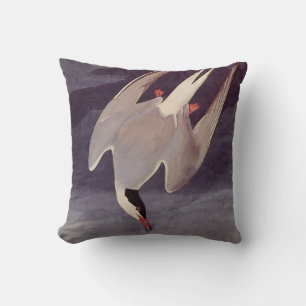 Coussin Sterne arctique par John James Audubon, Oiseaux vi