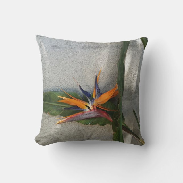 coussin strelitzia (Recto)