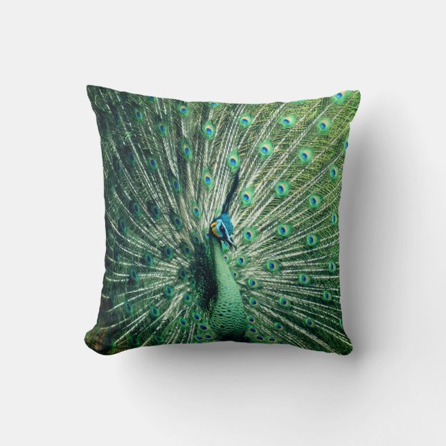 Coussin Strut Peacock (Recto)