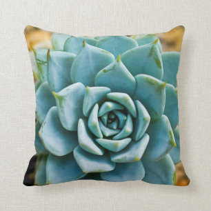 Coussin Succulent