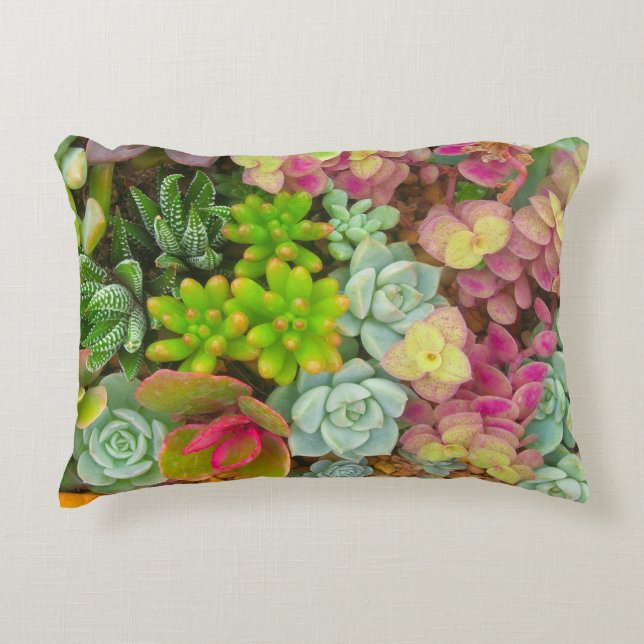 Coussin succulent 12" d'accent de texture de (Devant)