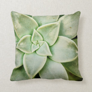 Coussin Succulent de ressort